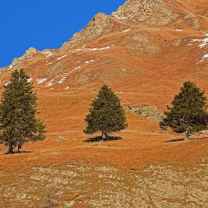 Val Ferret