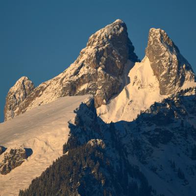 Les Jumelles
